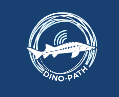 DINO-PATH