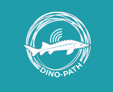 DINO-PATH