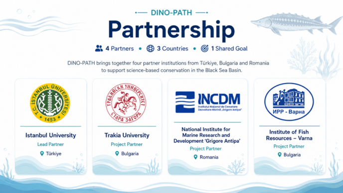DINO-PATH partnership